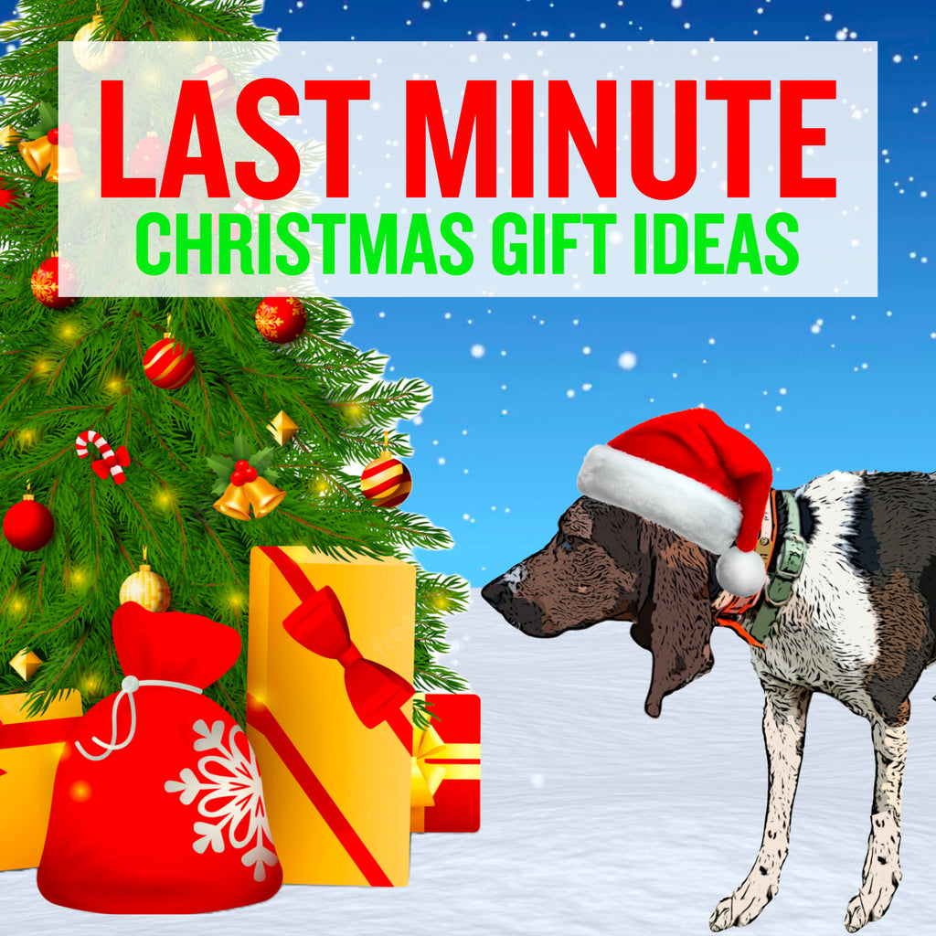 Last Minute Christmas Ideas For Your Hound Hunter