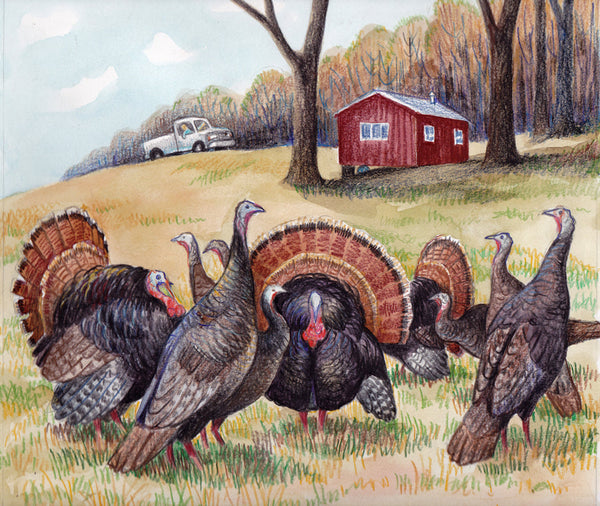 Turkey Tales Children's Book
