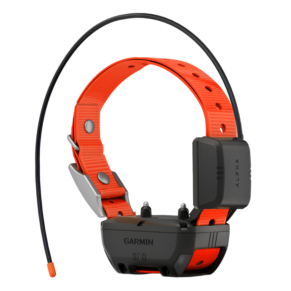 Garmin TT25 Mini Add-On Collar | GPS Dog Tracking – Conkey's Outdoors