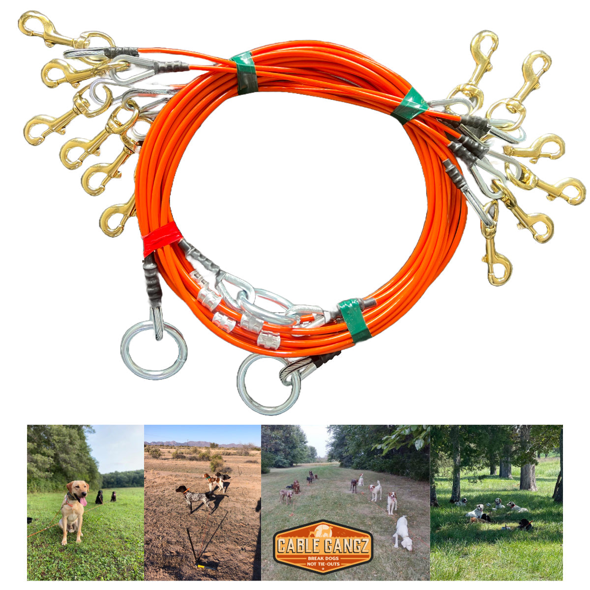 Yard Dog Tie Out Heavy Duty Dog Tie Out Stake & 6m Cable – Yard, Camping &  Beach Tether For Medium To Large Dogs Heavy Duty Dog Tie Out Stake 6m Cable