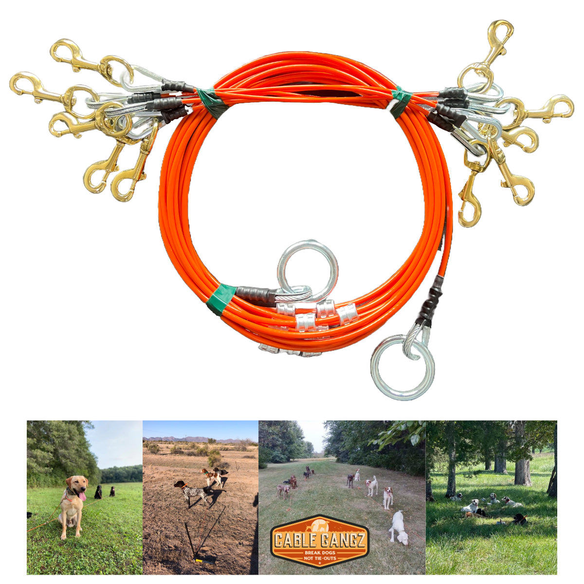 Conkey s 5 Dog Tie Out system by Cable Gangz Conkey s Outdoors