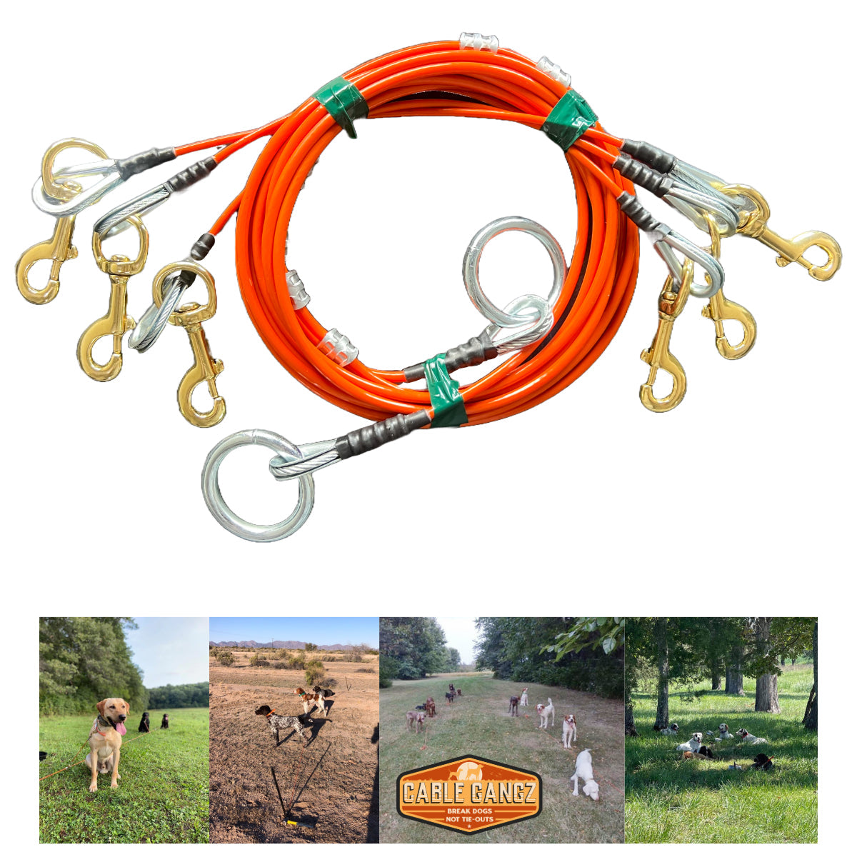 Extra long dog tie out cable best sale