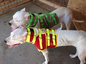 Custom 4R Cut Gear Bay Vest