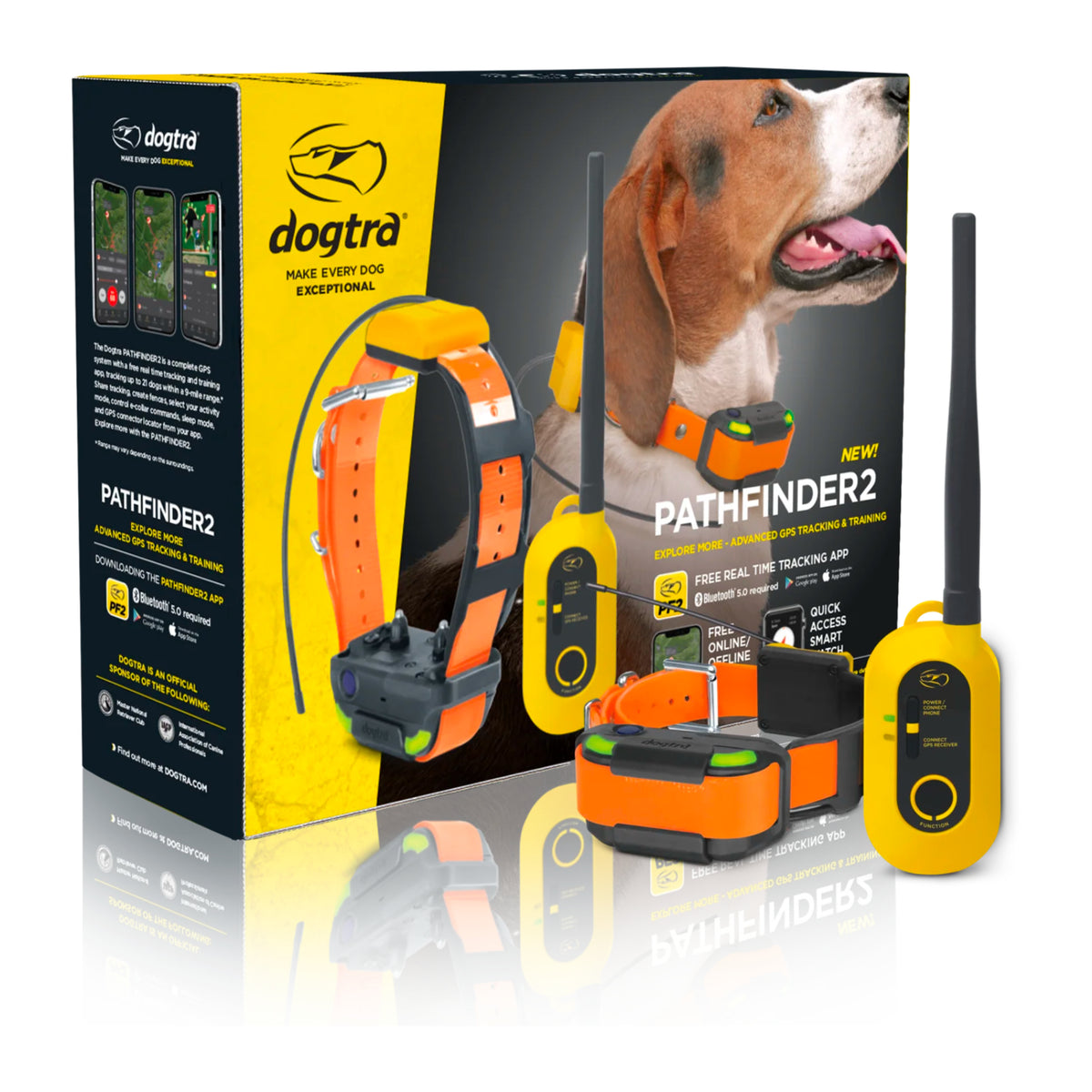 Dogtra 2 dog outlet system