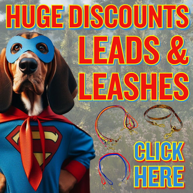 Lead &amp; Leash Sale