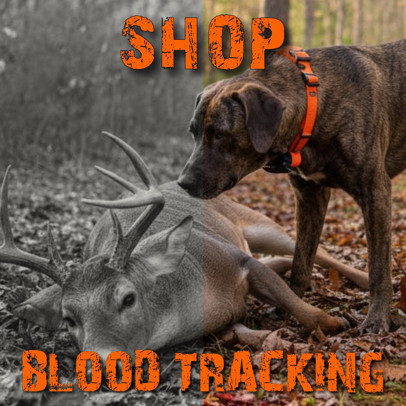 Blood Tracking Dogs Equipment