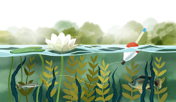 Fishing Picture Book Set