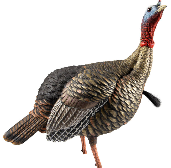 AVIAN AVXAVX8105   HDR JAKE                 DECOY