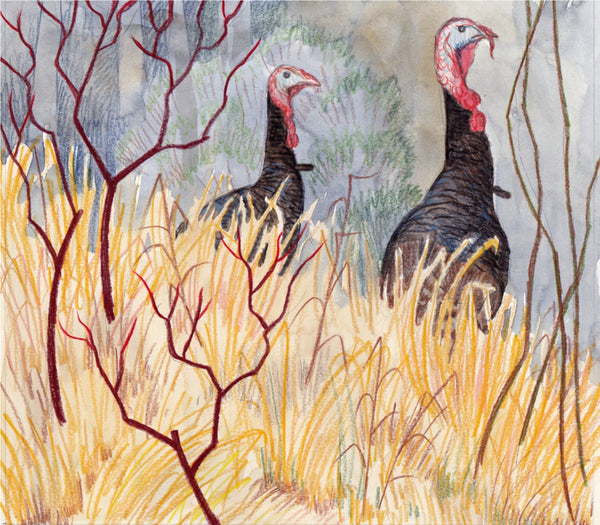 Turkey Tales Children's Book