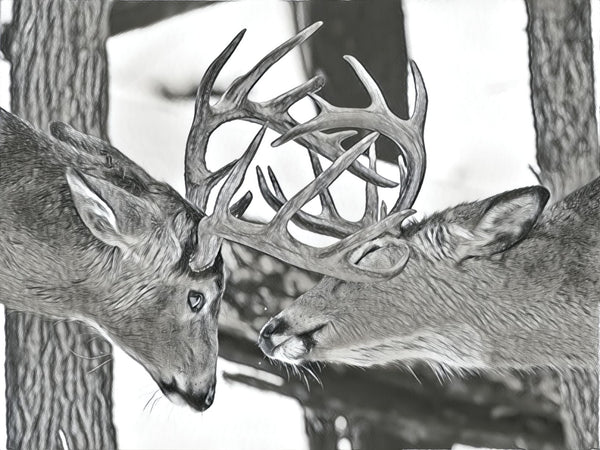 First Deer Cheer Children's Book