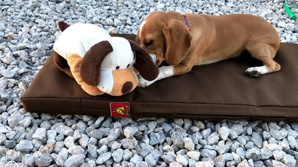 Mule Dog Box and Kennel Pads