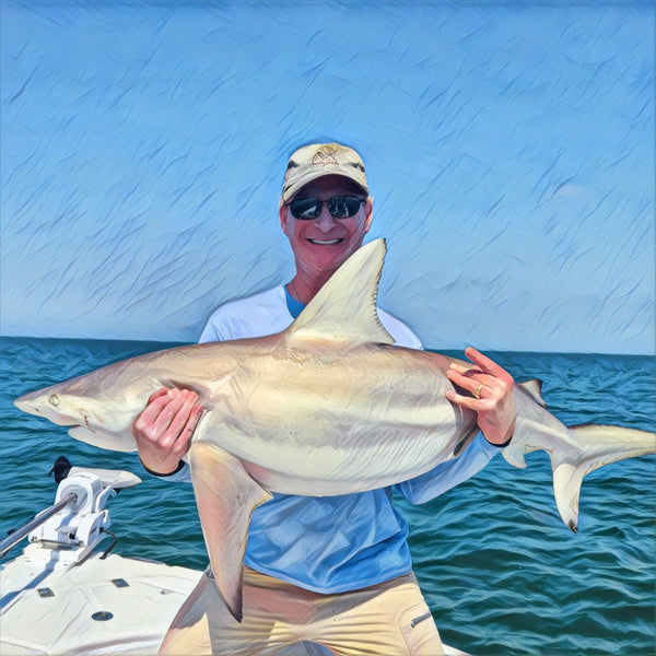 Shark On! (NEW RELEASE) Children's Book