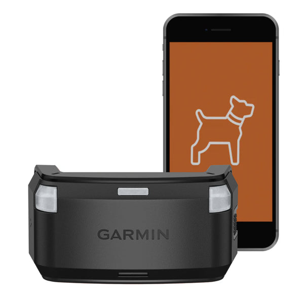 Garmin Alpha LTE Dog Tracker
