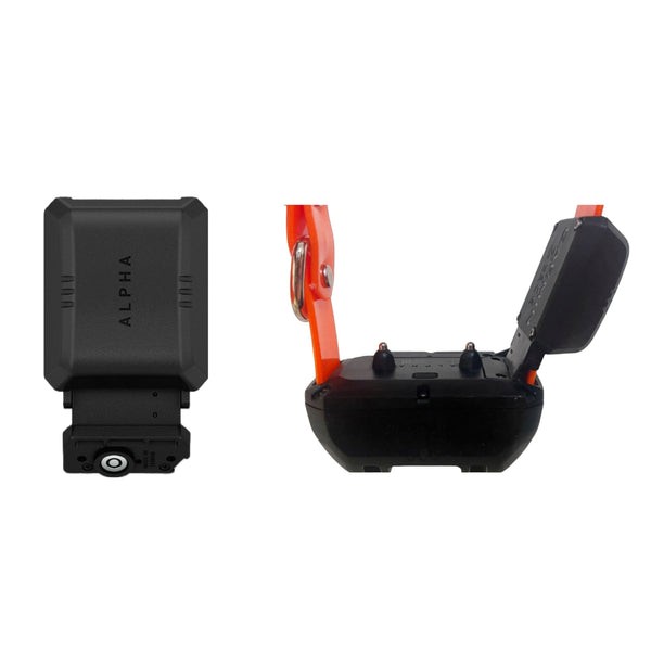 Garmin TT25 Mini GPS Collar for Hunting Dogs
