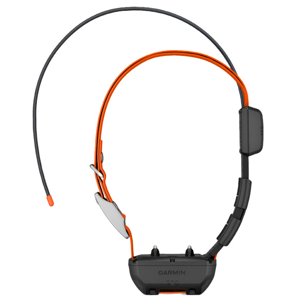Garmin TT25 Training Collar for Hunting Dogs
