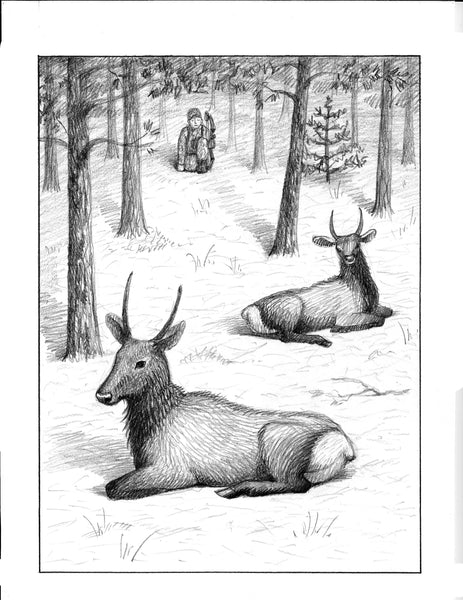 The Muddy Elk Children's Book