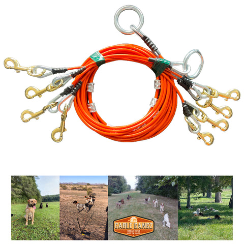 Conkey's 4 Dog Tie-Out system by Cable Gangz