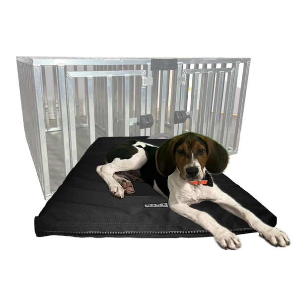 Dan's kennels online