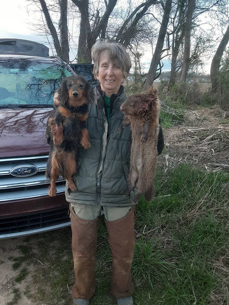 Mule Original Plain Chaps - Briarproof - No Liner - Brown