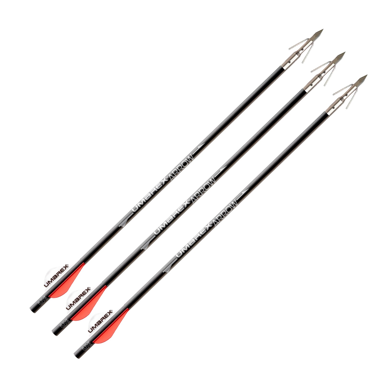 小物 UNITED ARROWS KANEKOOPTICAL ビューティー＆ユース ユナイテッドアローズのブラウン 知的の