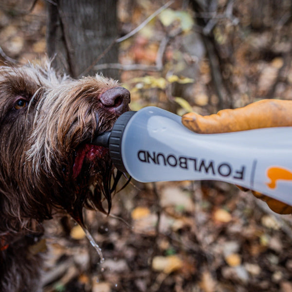 Healthy Hunting Hounds Hydration Bundle