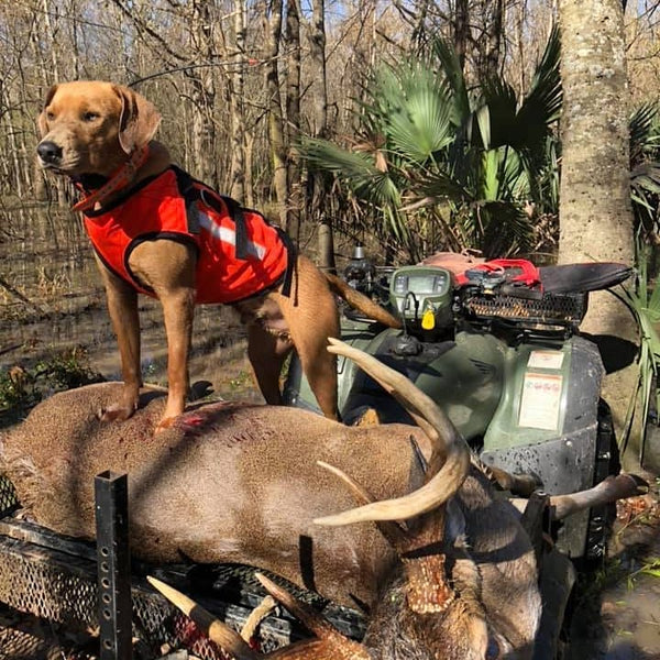 Southern Cross Armored Dog Tracking Dawg Vest