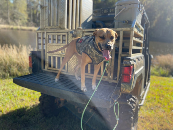 SC Full/Bay Vest Gen. 2.0- Collar Separate Lightweight
