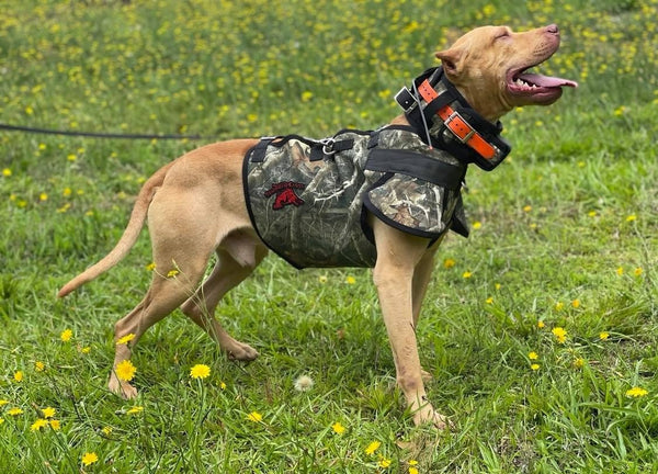 Ultra Flex Catch PRO Vest- Attached Collar/Leg Guards Lightweight