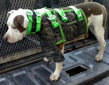 Cut Vest Dog Kevlar Vest Hog Hunting 4R Custom Catch Vest