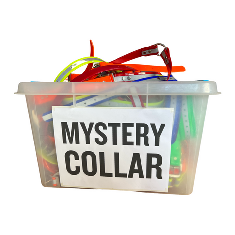 Conkey's Mystery Collar (Sweepstakes)
