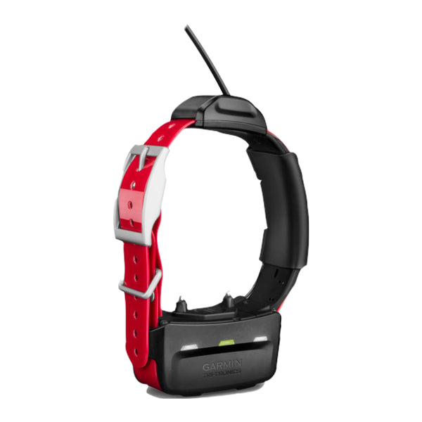 Used Garmin TT15 GPS Tracking Collar
